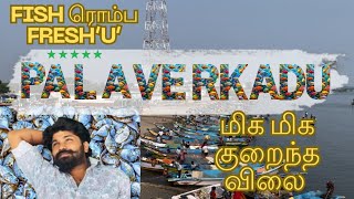 பழவேற்காடு சந்தையில் மீன் வாங்குறதுக்கு முன்னாடி இத பாருங்க  Palaverkadu Fish Market  Pulicat [upl. by Micheil196]