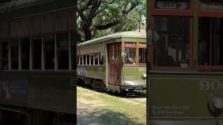 A streetcar cruises up St Charles Ave in Uptown New Orleans neworleans streetcars trolley Train [upl. by Mckay]