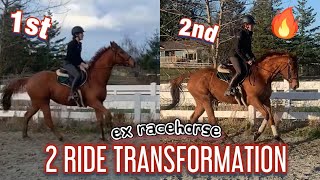 Ex Racehorse 2 Ride Transformation Talk Thru Ride Analysis [upl. by Naziaf602]