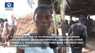 Community Report Focus On Benefits Production Of Palm Oil In Nigeria Pt 2 [upl. by Nylrahs]