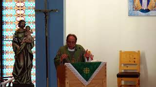 Father DePalmas Homily for the 24th Sunday in Ordinary Time [upl. by Anaeli903]