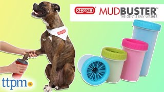 MudBuster Portable Dog Paw Cleaner Review from Dexas [upl. by Gibert265]