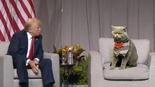 Cat Interviews Trump [upl. by Idolah]