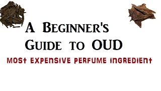 OUD  Do you know your OudAgarwood perfume  A detailed guide for all [upl. by Noret]