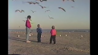 1993 Galveston Beach [upl. by Daniele]