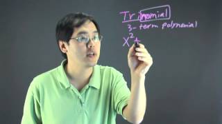 What Does Trinomial Mean in Math [upl. by Idelia]