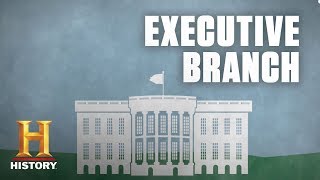 What Is the Executive Branch of the US Government  History [upl. by Lari]