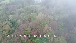 Evolution of the Earths Forests [upl. by Hpesoj135]