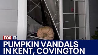 Neighbors in Kent Covington concerned by pumpkin vandals  FOX 13 Seattle [upl. by Stanfield762]