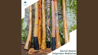 Chilltronica Didgeridoo Original Mix [upl. by Adnawuj]