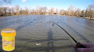 TROUT Fishing TIPS  Trout Fishing with POWERBAIT [upl. by Reinnej]