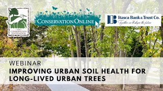 Improving Urban Soil Health for LongLived Urban Trees and nonwoody plants too [upl. by Kcirdet]