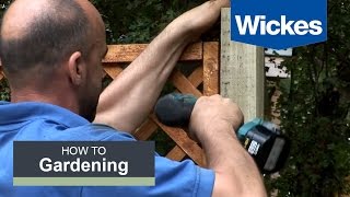 How to Fix Trellis onto a Fence Panel with Wickes [upl. by Enilauqcaj777]