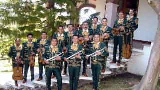 gracias por estar conmigo  mariachi sosa [upl. by Maffei562]