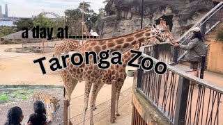 Walking tourSydney Taronga Zoofamous tourist spot in Australia travelvlog [upl. by Naerol393]