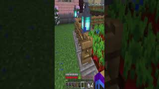 Minecraft New Village Beetroot Farm mc minecraft realms multiplayer shorts [upl. by Ernesta788]