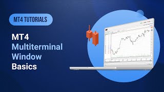 XMCOM  MT4 Tutorials  MT4 Multiterminal Window  Basics [upl. by Bernetta700]
