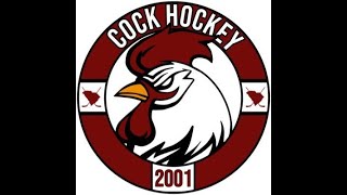 GAMECOCK HOCKEY vs CLEMSON ICE HOCKEY  Palmetto Cup  Jan 28 2023 [upl. by Dnomad]