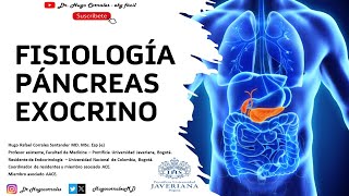 Fisiología páncreas exocrino [upl. by Euqinommod373]