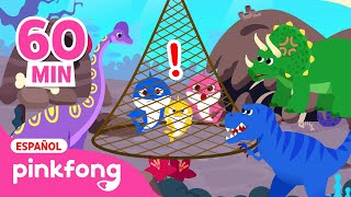 ¡ROAR¡ Dinosaurios para niños 🦖🦕  Recopilación  Pinkfong Canciones y Cuentos Infantiles [upl. by Netsyrk]