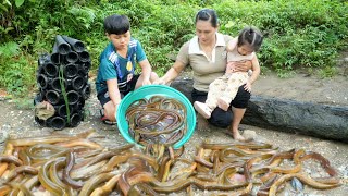 How to trap eels to sell at the market amp Cook nutritious eel porridge for children [upl. by Marylin]