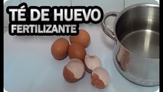 Abono Casero Con Cascara De Huevo Aporte De Calcio  La Huertina De Toni [upl. by Rimola654]