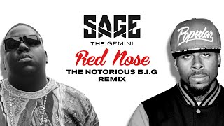 Sage The Gemini  Red Nose The Notorious BIG Remix [upl. by Wrand]