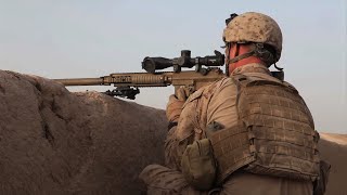 5 Things You Dont Know About Sniper Rifles [upl. by Talley545]