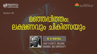 മഞ്ഞപ്പിത്തം കാരണങ്ങളും പരിഹാരങ്ങളും  Jaundice Causes and Remedies [upl. by Ilil]