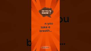 What Happens When You Breathe  breath life sciencefacts [upl. by Aekahs]