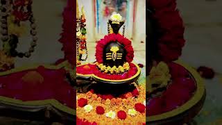 Karthika masam song  Karthika masam short video [upl. by Sanoy776]