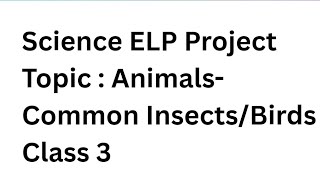 Science ELP Project Topic  Animals Common InsectsBirds  Class 3 [upl. by Ulund]