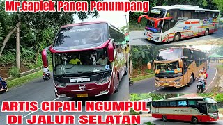 Mr Gaplek Banjir Penumpang❗Bus KaryajasaTam WisataHarapan Jaya Kumpul Di Jalur Selatan [upl. by Argile]