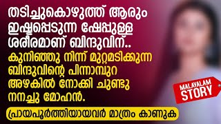 കുനിഞ്ഞു നിന്ന് മുറ്റമടിക്കുന്ന ബിന്ദുവിനെ നോക്കി ചുണ്ടു നനച്ചു മോഹൻ PRANAYAMAZHA AUDIO STORY [upl. by Carine31]