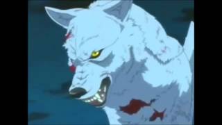 Wolfs rain  Kiba  Time Of Dying [upl. by Sonahpets]