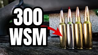 300 WSM Ammo Test Part 1 Savage 110 Trail Hunter [upl. by Greene]