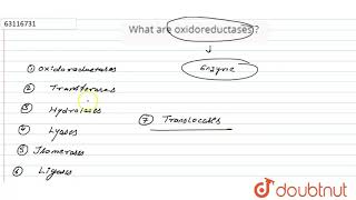 What are oxidoreductases [upl. by Yelkrab]