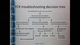 PCR amp qPCR Troubleshooting  Part 4 [upl. by Taam]