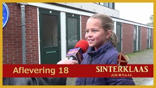 Het Sinterklaas Journaal 2022  Aflevering 18 [upl. by Nivri]