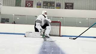 Hockey Goalie Training August 2024  2 [upl. by Eibmab]