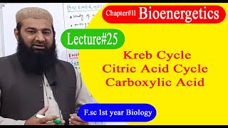 Biology Ch11Lecture25 Kreb cyclecitric cycle tricarboxylic acid FSc 1st Year [upl. by Ammon]