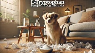 LTryptophan Benefits Calming Dog Behavior Naturally [upl. by Anihsak74]