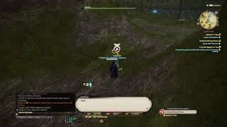 Final Fantasy XIV A Realm Reborn  Sylphies Trials  Conjurer Level 20 Quest [upl. by Aneloaup239]