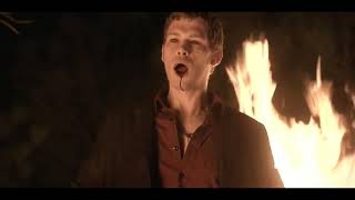 Niklaus Mikaelson WhatsApp Status [upl. by Ateekal]