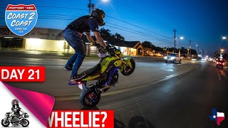 Grom Wheelies in Houston [upl. by Nerac]