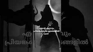 എന്റെ പ്രിയങ്കരമായ ഇടങ്ങളിൽ ഒന്ന്  Keralas Biggest Shiva devotional shortsfeed shortvideo god [upl. by Auhsuj]