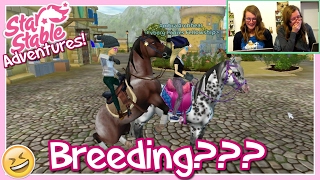 Star Stable Adventures  BREEDING  SSO Gameplay [upl. by Francisca]