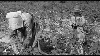 Daily Life As a Sharecropper  Documentary Clip [upl. by Ayekam]