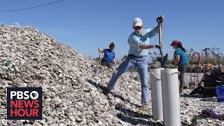 How recycled oyster shells are helping save Louisianas dwindling coastline [upl. by Prochoras]