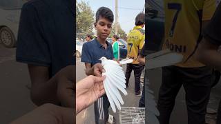 Pet market mai fancy anokhe pets mile minivlog reels pet parrot kabootar birds pets vlog [upl. by Nerret579]